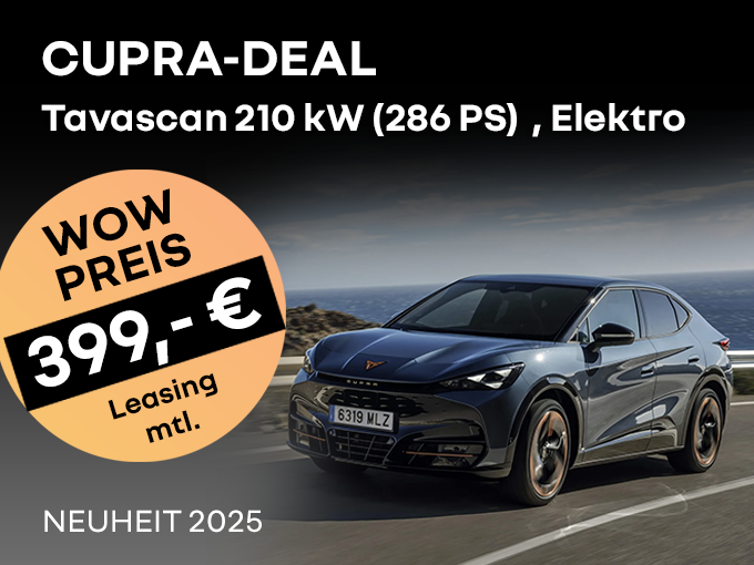 Cupra Tavascan Endurance Cupra Tavascan Endurance